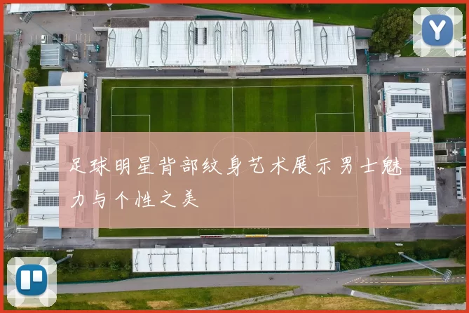 足球明星背部纹身艺术展示男士魅力与个性之美