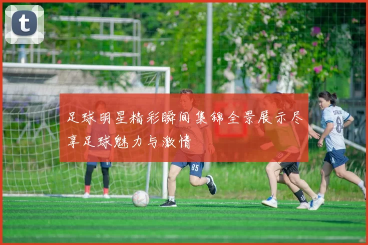 足球明星精彩瞬间集锦全景展示尽享足球魅力与激情